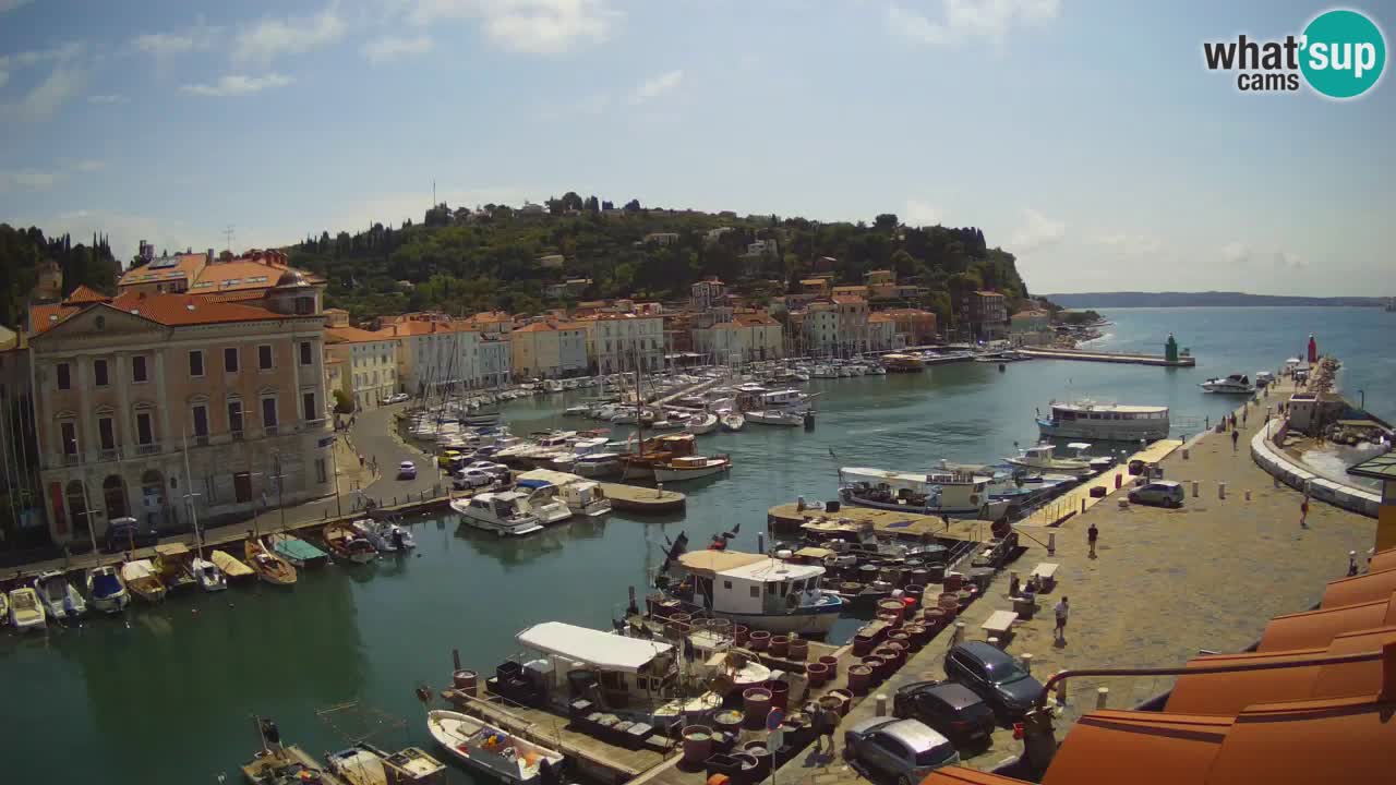 Live webcam da Pirano “Mandrač” – Splendida vista live da Villa Piranesi