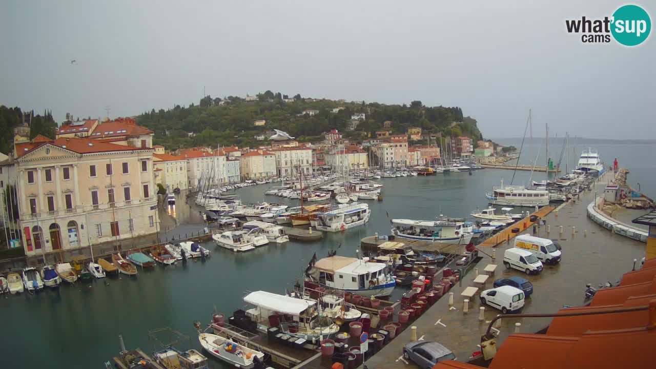 Live webcam da Pirano “Mandrač” – Splendida vista live da Villa Piranesi