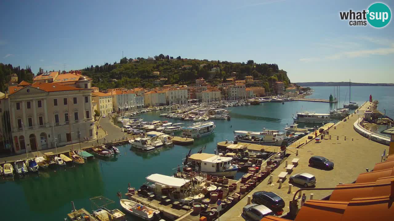 Live-Webcam aus Piran “Mandrač” – Erstaunliche Live-Ansicht von Villa Piranesi