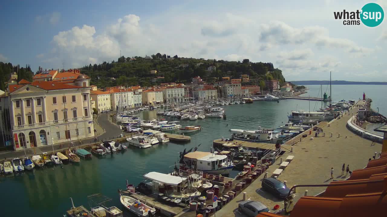 Live webcam from Piran “Mandrač” – Amazing live view from Villa Piranesi