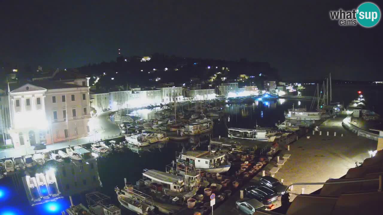 Iz Pirana Spletna kamera v živo “Mandrač” – Neverjeten pogled v živo iz Vile Piranesi
