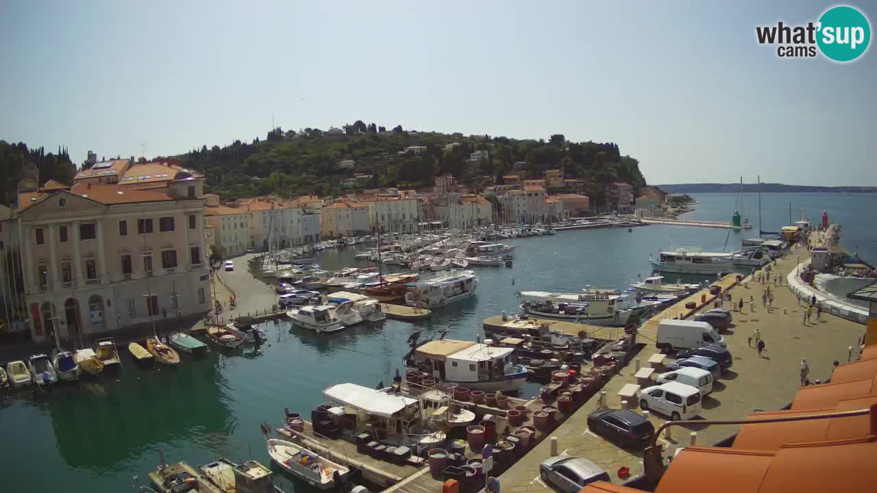 Live webcam da Pirano “Mandrač” – Splendida vista live da Villa Piranesi
