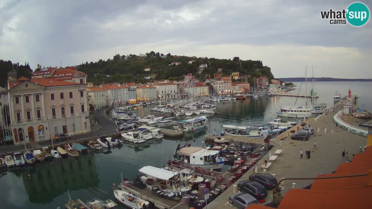 Web kamera uživo iz Pirana “Mandrač” – Nevjerojatan pogled uživo iz Ville Piranesi