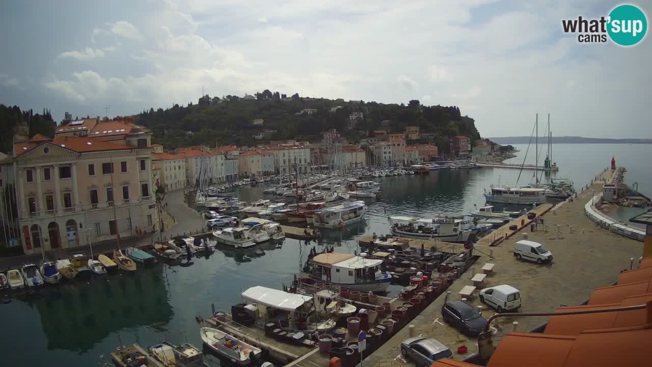 Iz Pirana Spletna kamera v živo “Mandrač” – Neverjeten pogled v živo iz Vile Piranesi
