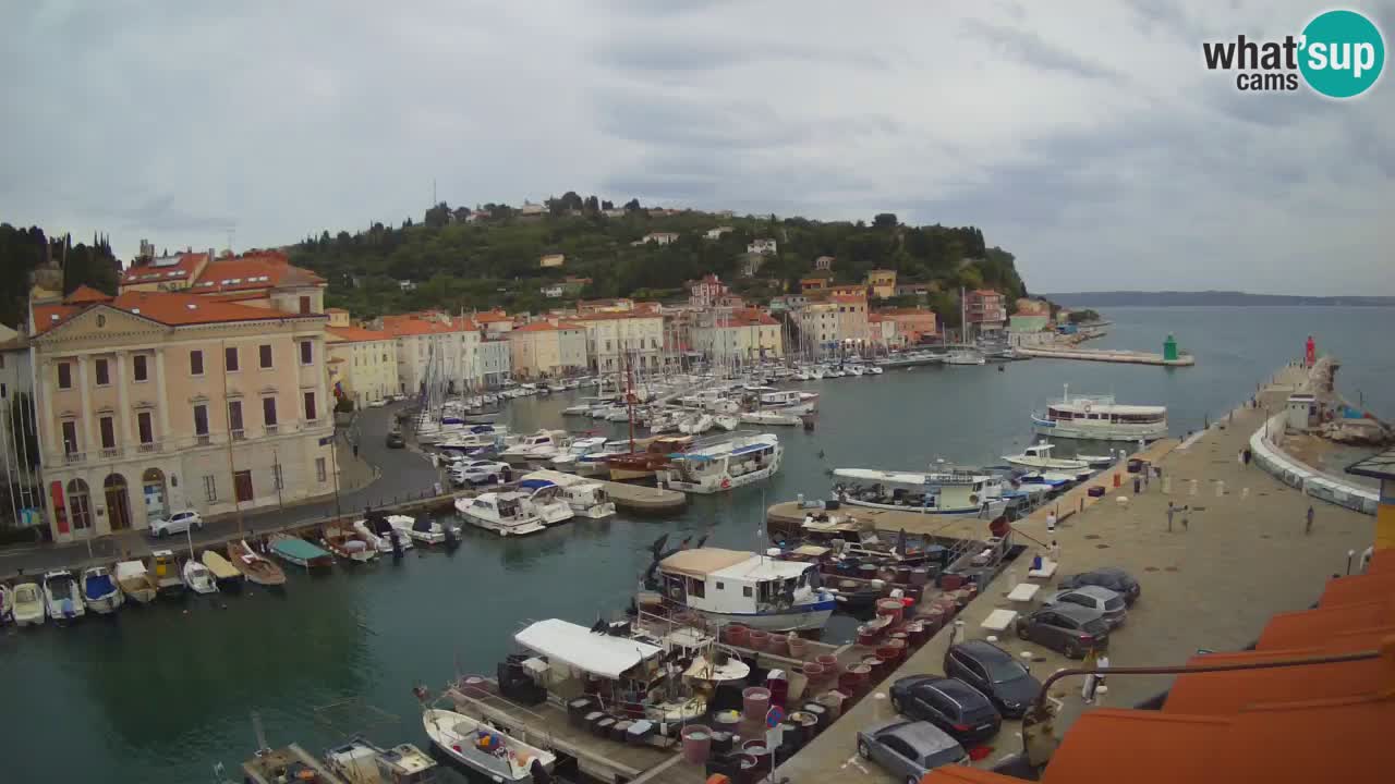 Iz Pirana Spletna kamera v živo “Mandrač” – Neverjeten pogled v živo iz Vile Piranesi