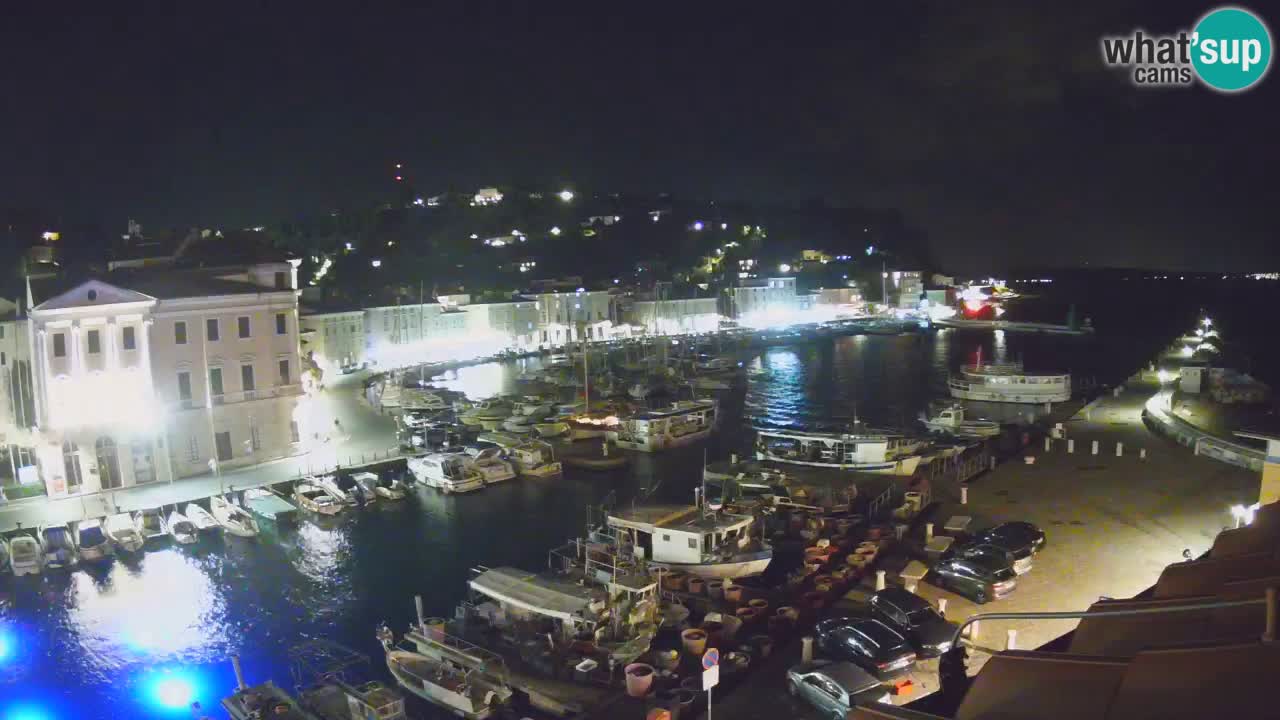 Iz Pirana Spletna kamera v živo “Mandrač” – Neverjeten pogled v živo iz Vile Piranesi