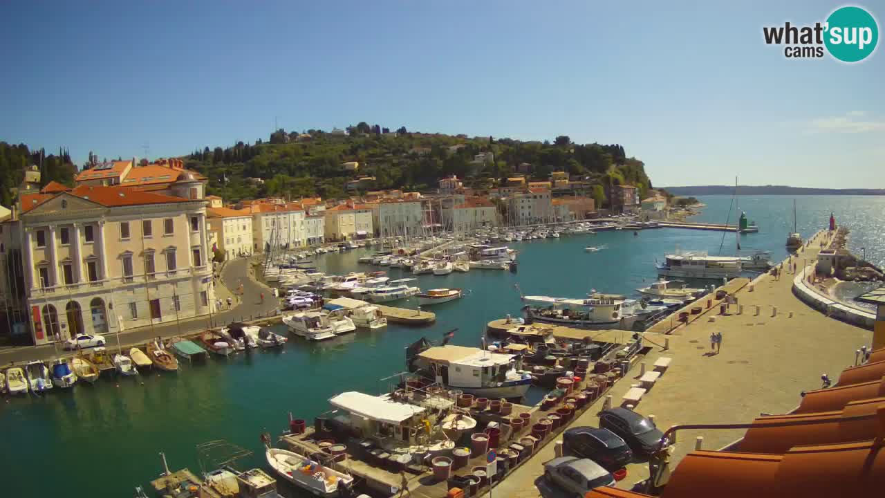 Web kamera uživo iz Pirana “Mandrač” – Nevjerojatan pogled uživo iz Ville Piranesi