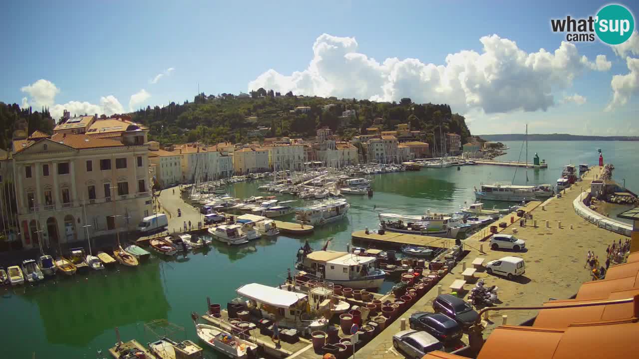Live webcam da Pirano “Mandrač” – Splendida vista live da Villa Piranesi