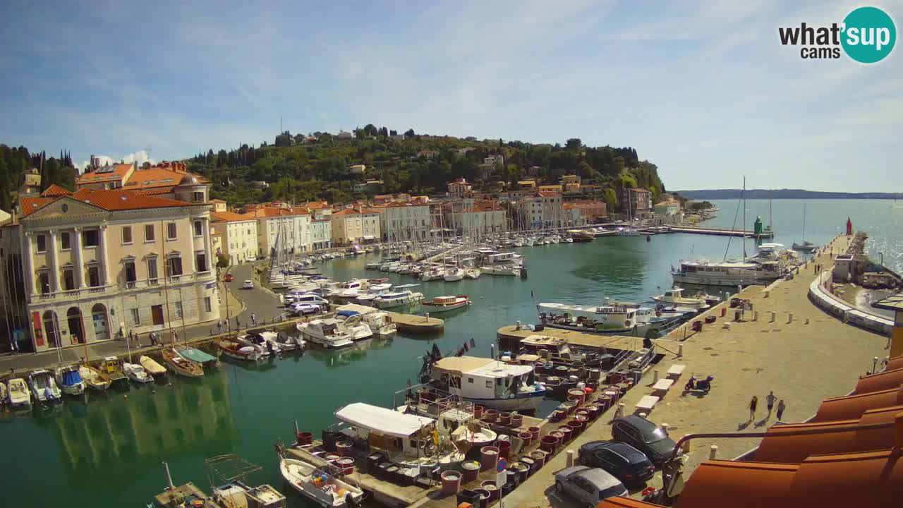 Live webcam da Pirano “Mandrač” – Splendida vista live da Villa Piranesi