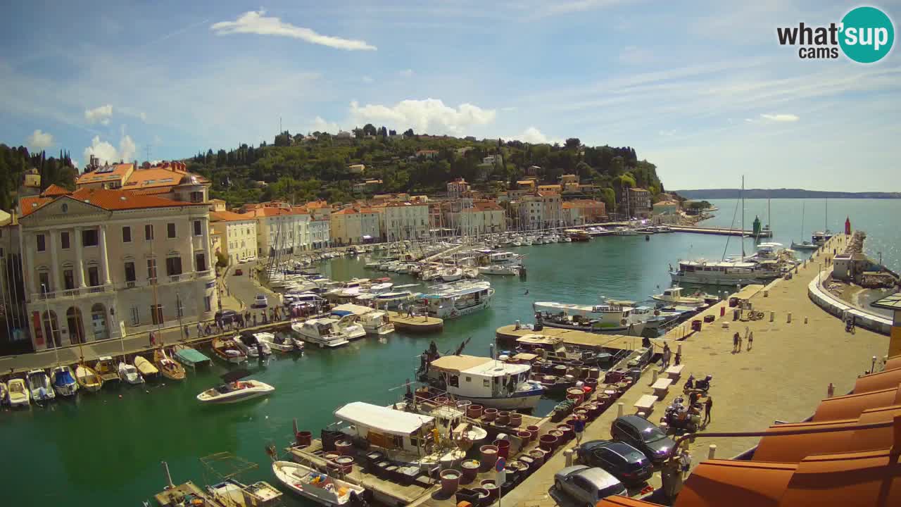 Live-Webcam aus Piran “Mandrač” – Erstaunliche Live-Ansicht von Villa Piranesi