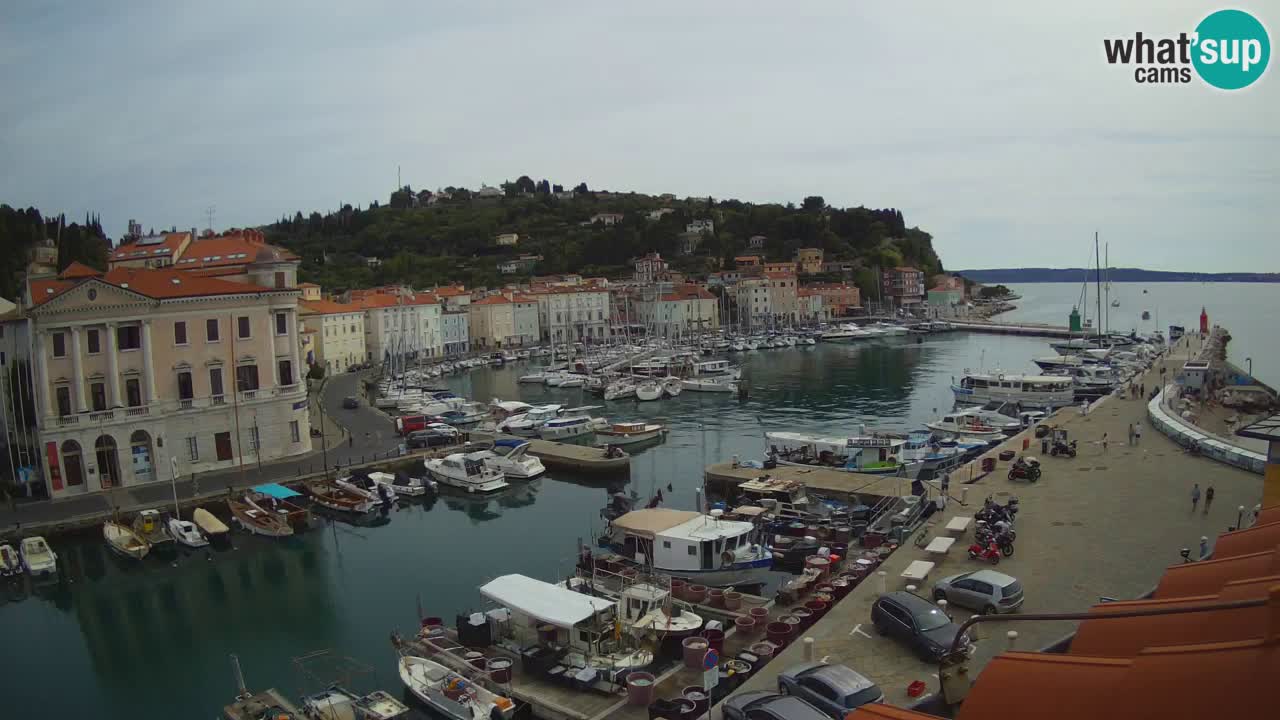 Live webcam da Pirano “Mandrač” – Splendida vista live da Villa Piranesi