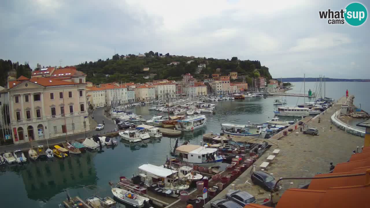 Web kamera uživo iz Pirana “Mandrač” – Nevjerojatan pogled uživo iz Ville Piranesi