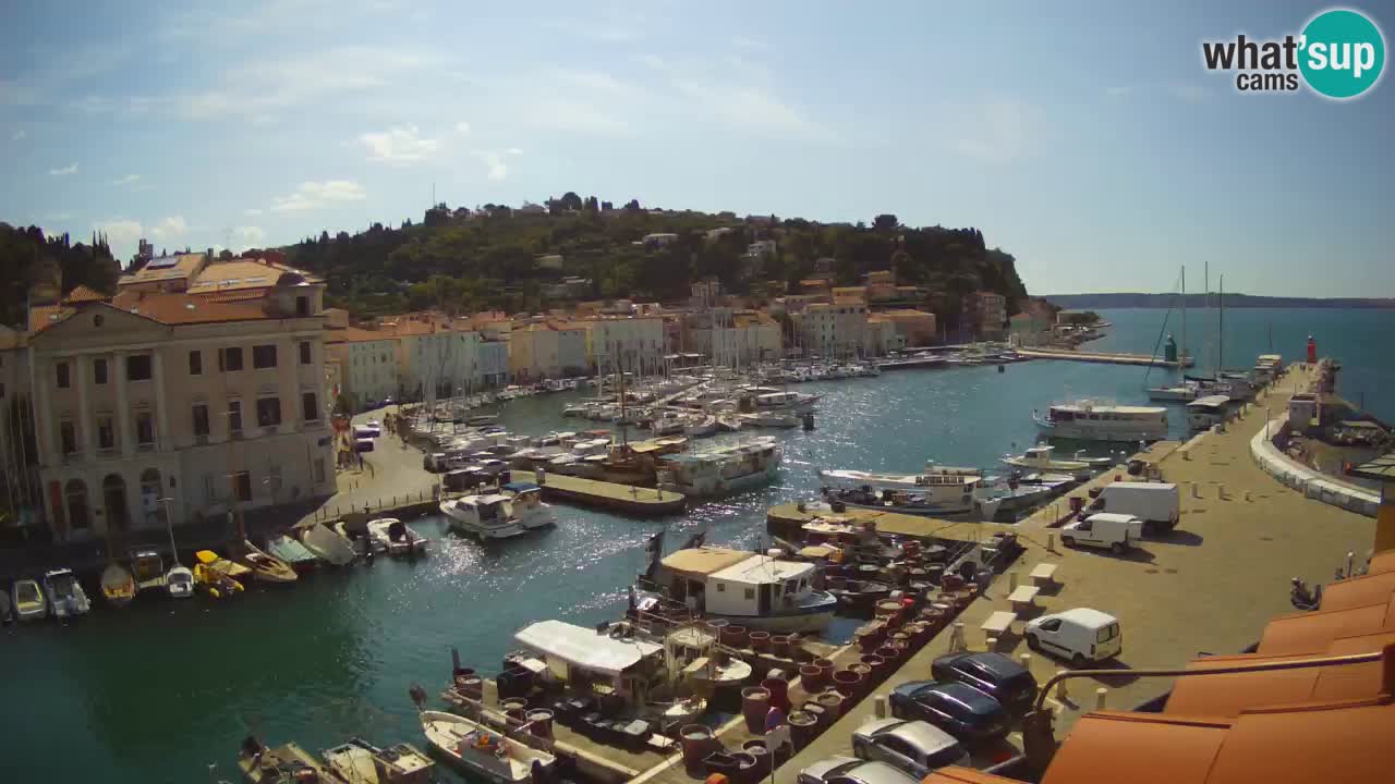 Live webcam da Pirano “Mandrač” – Splendida vista live da Villa Piranesi