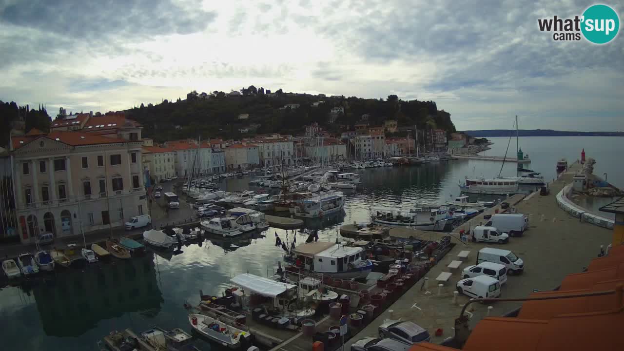 Live webcam from Piran “Mandrač” – Amazing live view from Villa Piranesi