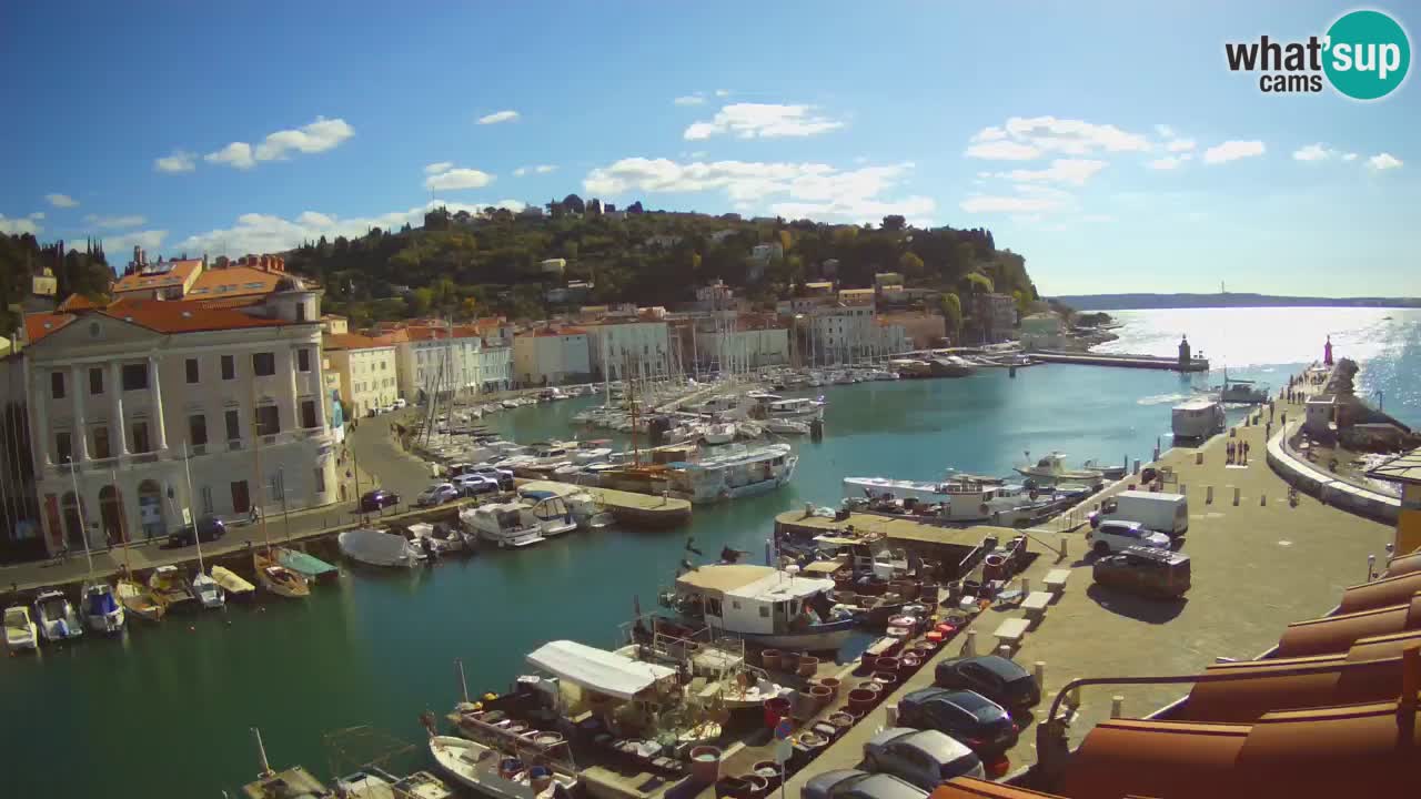 Live-Webcam aus Piran “Mandrač” – Erstaunliche Live-Ansicht von Villa Piranesi