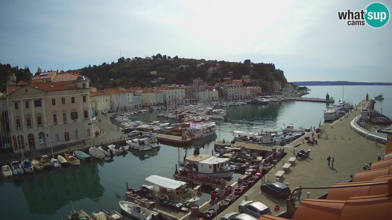 Live webcam da Pirano “Mandrač” – Splendida vista live da Villa Piranesi