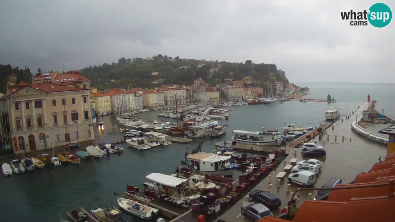 Live webcam da Pirano “Mandrač” – Splendida vista live da Villa Piranesi