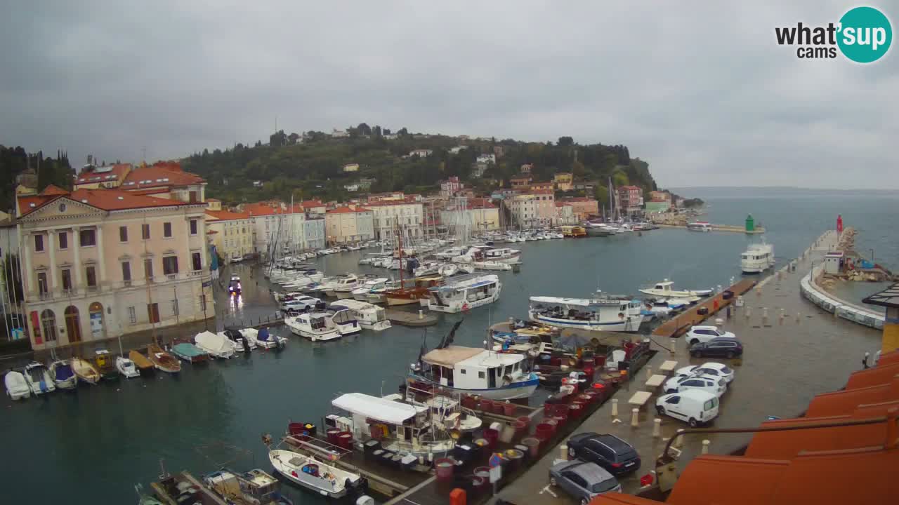 Live webcam from Piran “Mandrač” – Amazing live view from Villa Piranesi