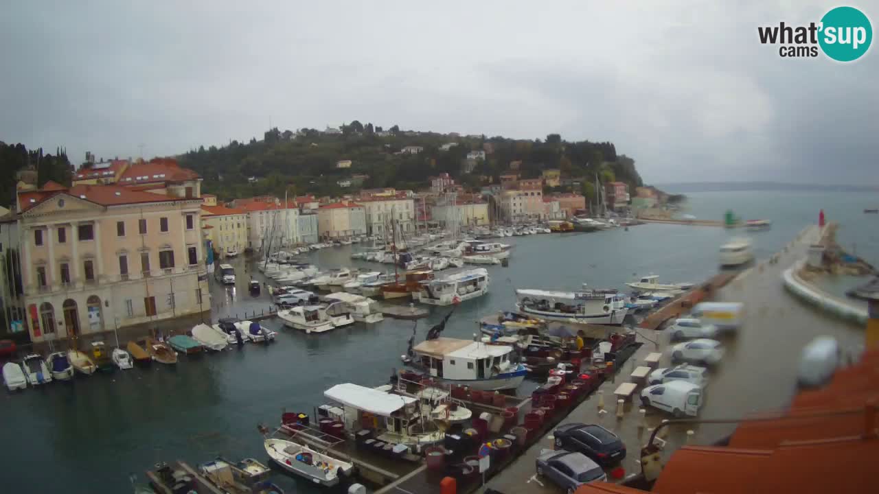 Live webcam da Pirano “Mandrač” – Splendida vista live da Villa Piranesi
