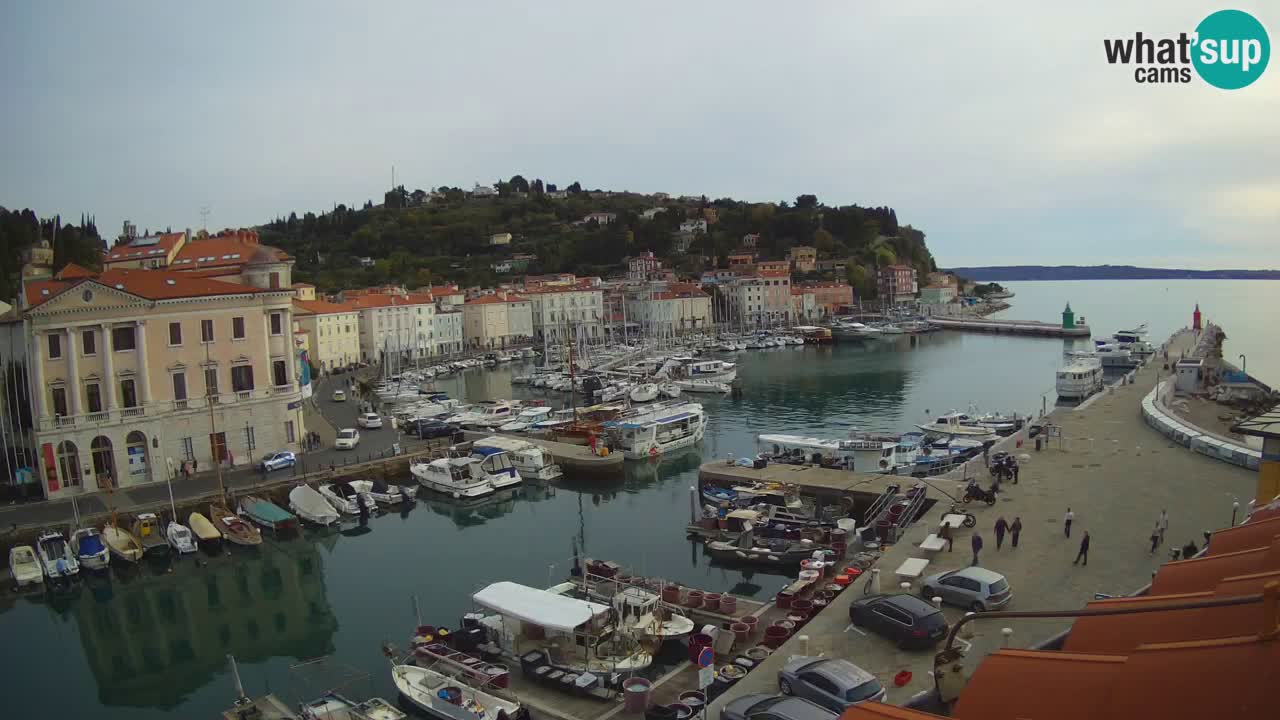 Live webcam da Pirano “Mandrač” – Splendida vista live da Villa Piranesi