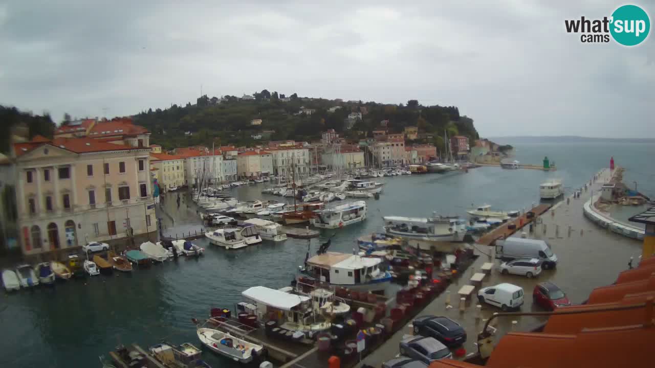 Live webcam from Piran “Mandrač” – Amazing live view from Villa Piranesi