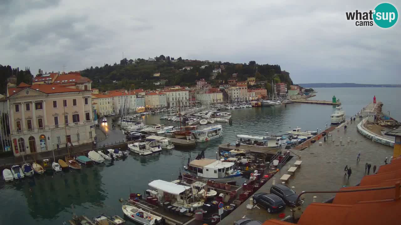 Live webcam da Pirano “Mandrač” – Splendida vista live da Villa Piranesi