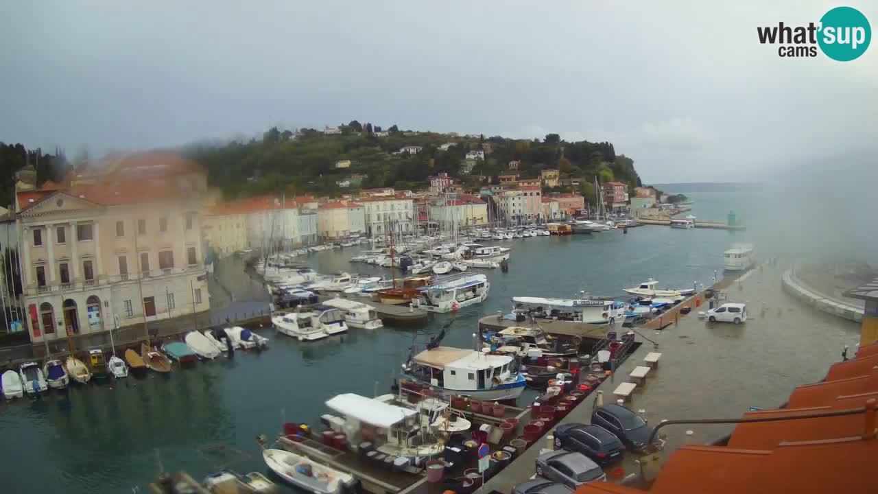 Live webcam from Piran “Mandrač” – Amazing live view from Villa Piranesi
