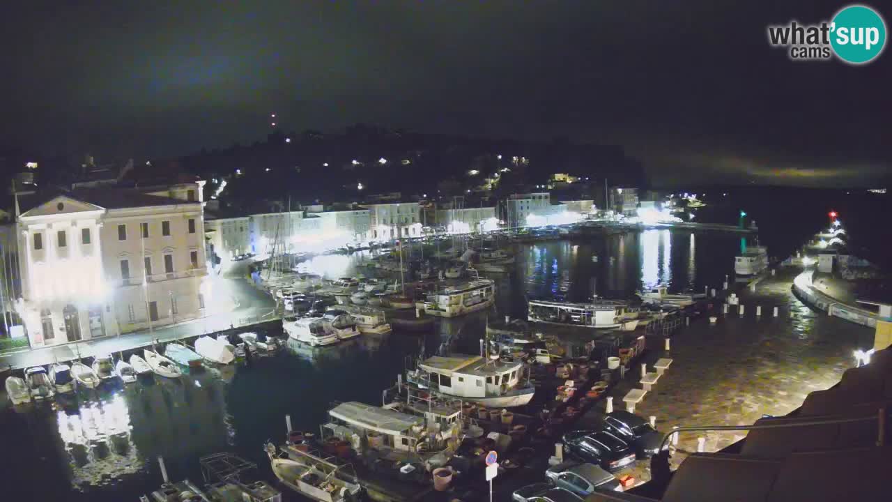 Iz Pirana Spletna kamera v živo “Mandrač” – Neverjeten pogled v živo iz Vile Piranesi
