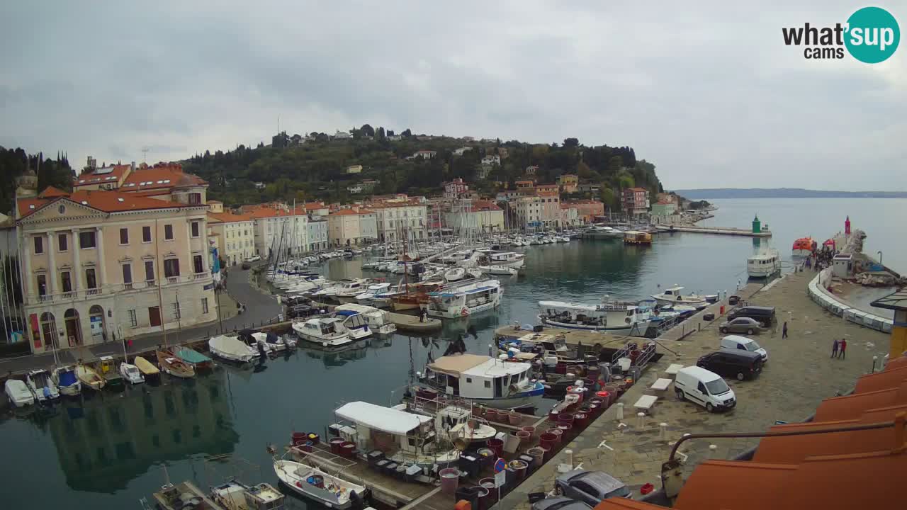 Live webcam from Piran “Mandrač” – Amazing live view from Villa Piranesi