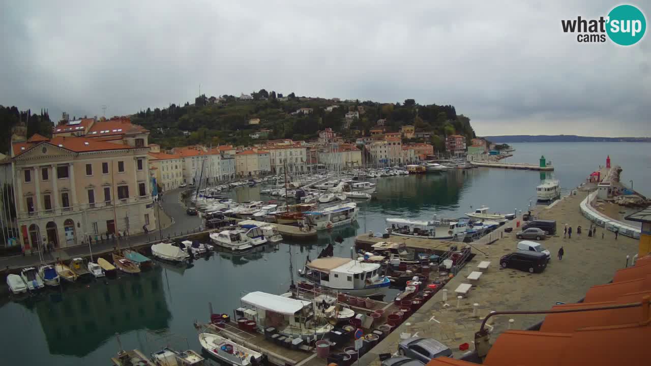 Webcam en direct de Piran “Mandrač” – Incroyable vue en direct de la Villa Piranesi