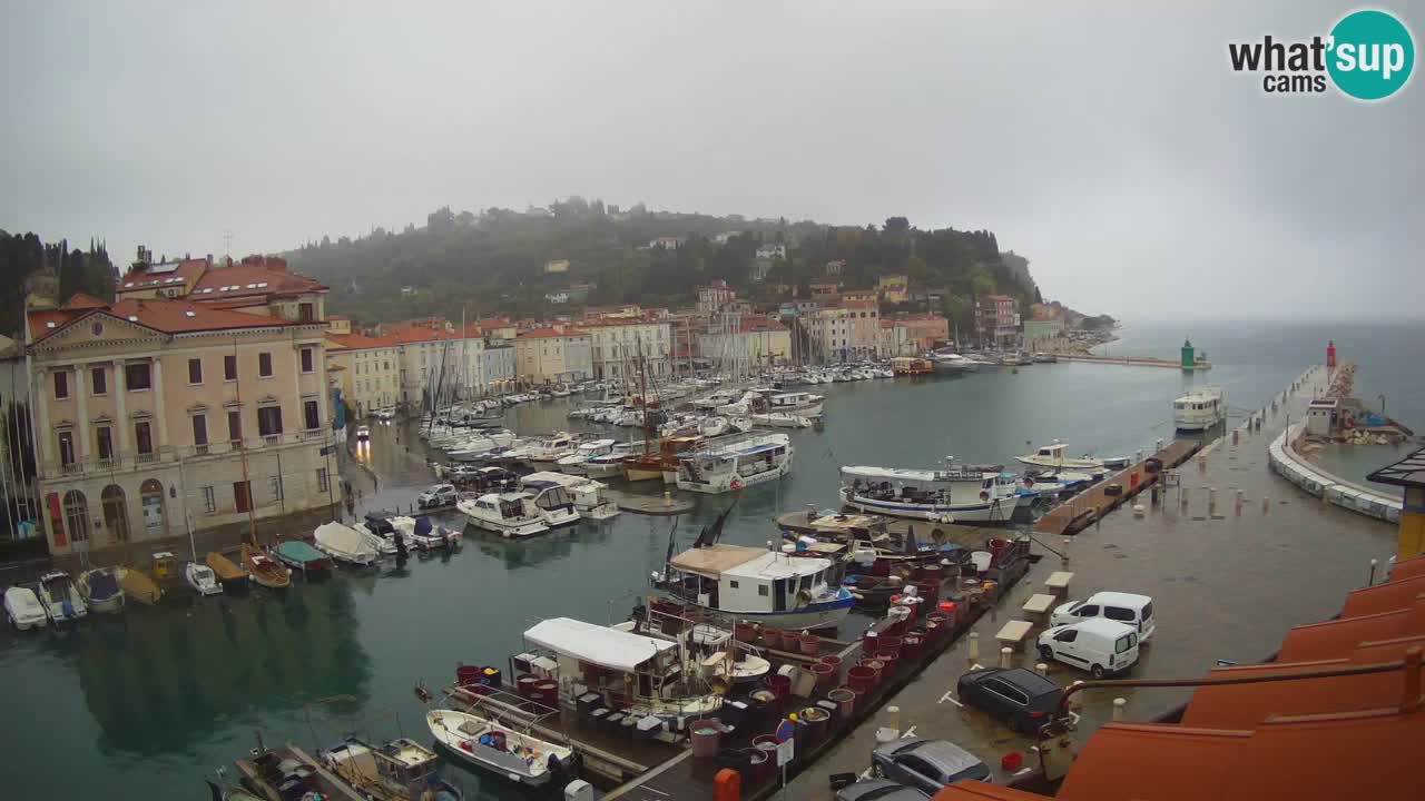 Live webcam da Pirano “Mandrač” – Splendida vista live da Villa Piranesi
