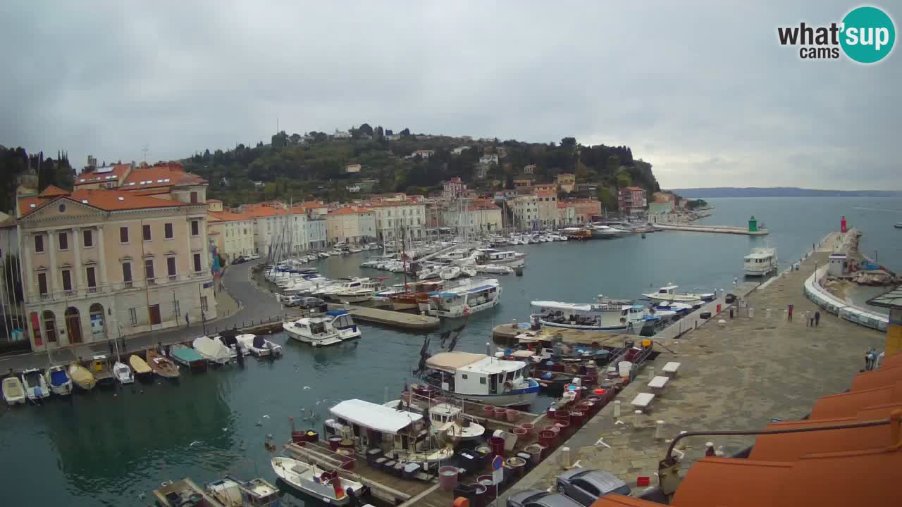 Webcam en direct de Piran “Mandrač” – Incroyable vue en direct de la Villa Piranesi