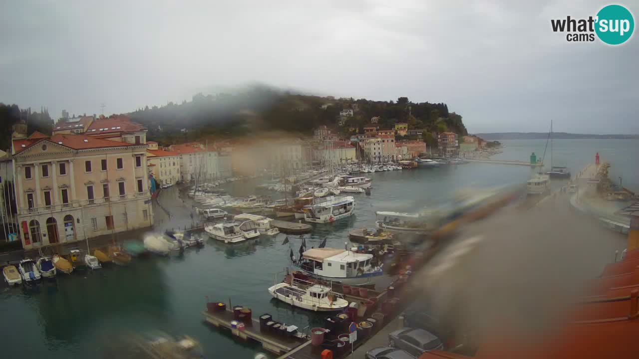Live webcam from Piran “Mandrač” – Amazing live view from Villa Piranesi