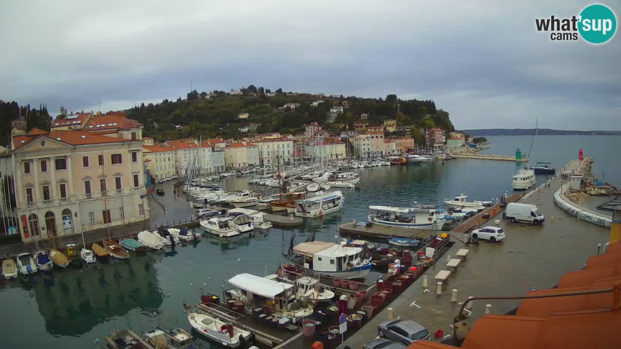Live webcam from Piran “Mandrač” – Amazing live view from Villa Piranesi