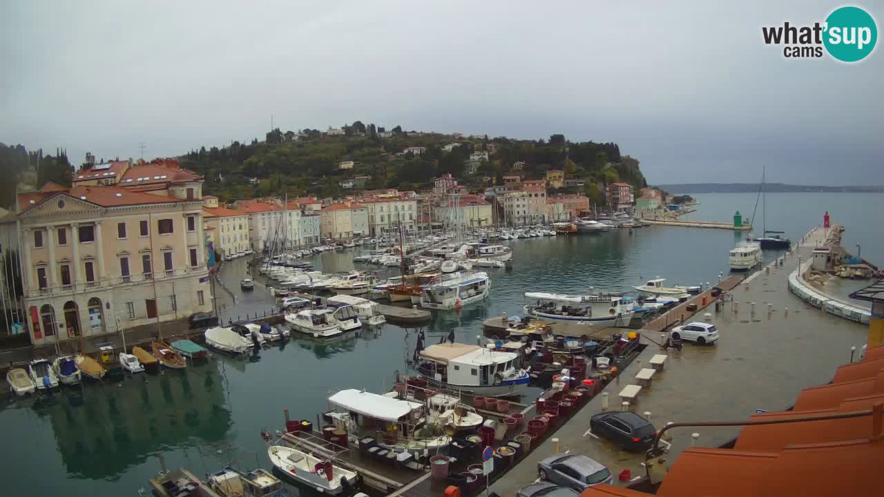 Webcam en direct de Piran “Mandrač” – Incroyable vue en direct de la Villa Piranesi