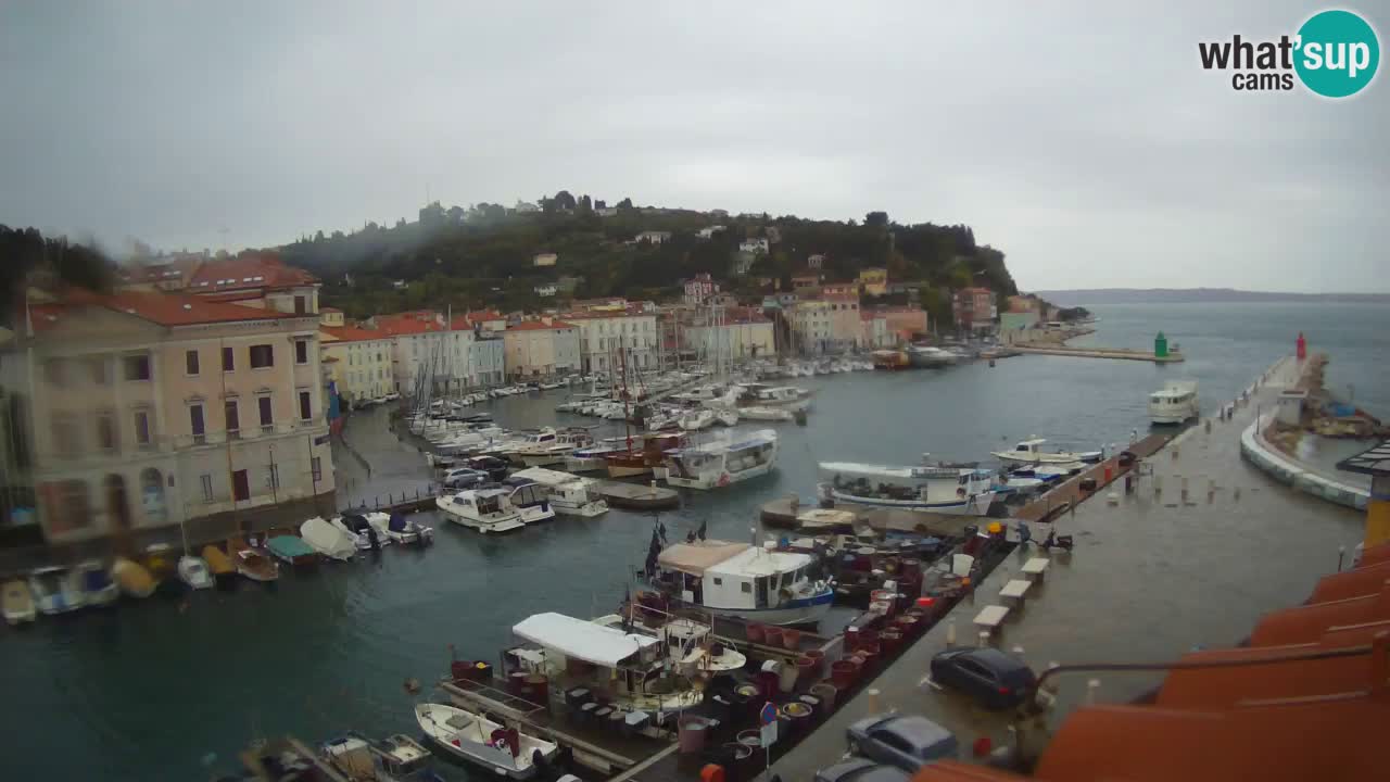 Webcam en direct de Piran “Mandrač” – Incroyable vue en direct de la Villa Piranesi