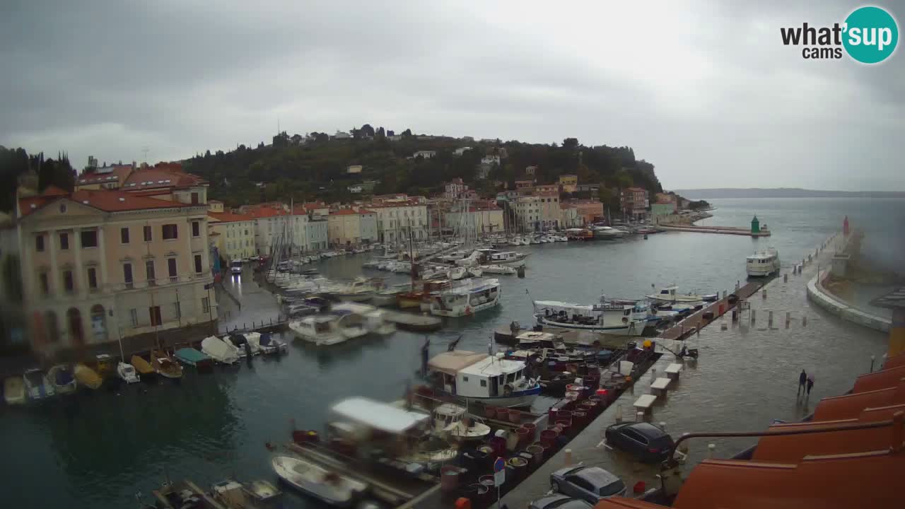 Live webcam da Pirano “Mandrač” – Splendida vista live da Villa Piranesi