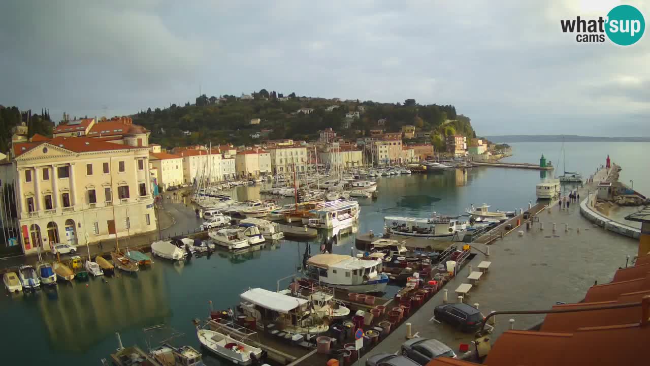 Live webcam from Piran “Mandrač” – Amazing live view from Villa Piranesi