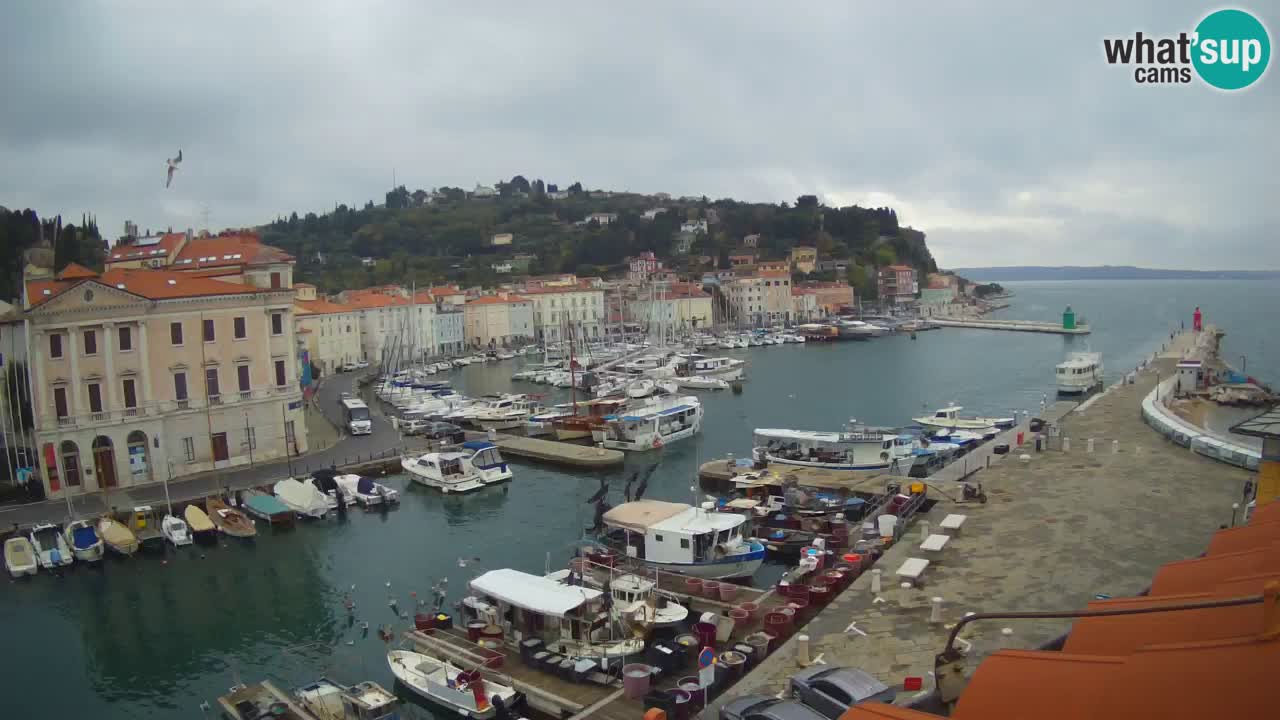 Live-Webcam aus Piran “Mandrač” – Erstaunliche Live-Ansicht von Villa Piranesi