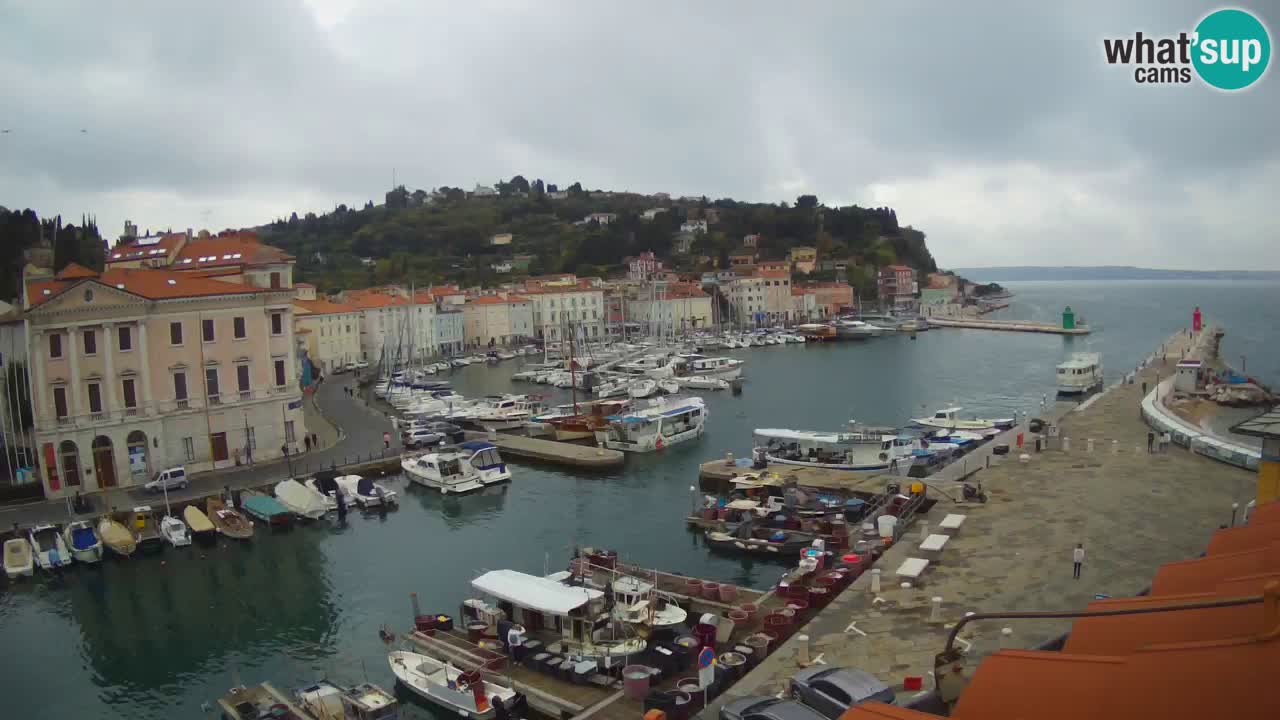Web kamera uživo iz Pirana “Mandrač” – Nevjerojatan pogled uživo iz Ville Piranesi