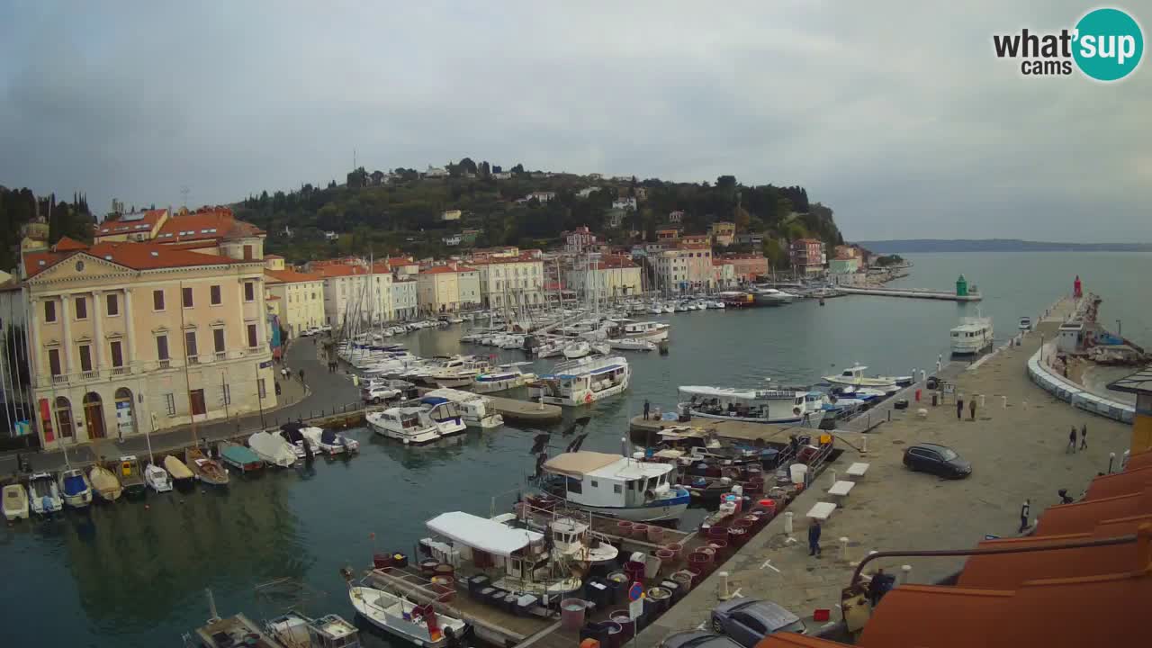 Live-Webcam aus Piran “Mandrač” – Erstaunliche Live-Ansicht von Villa Piranesi