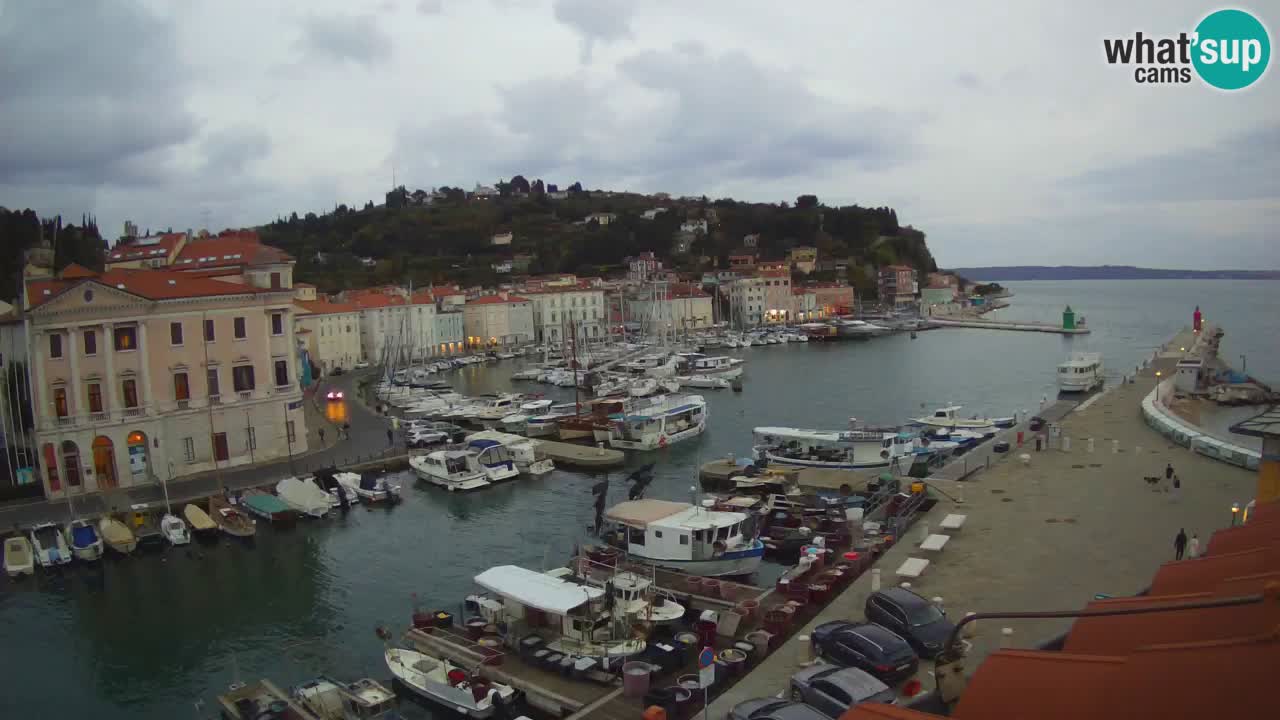Webcam en direct de Piran “Mandrač” – Incroyable vue en direct de la Villa Piranesi