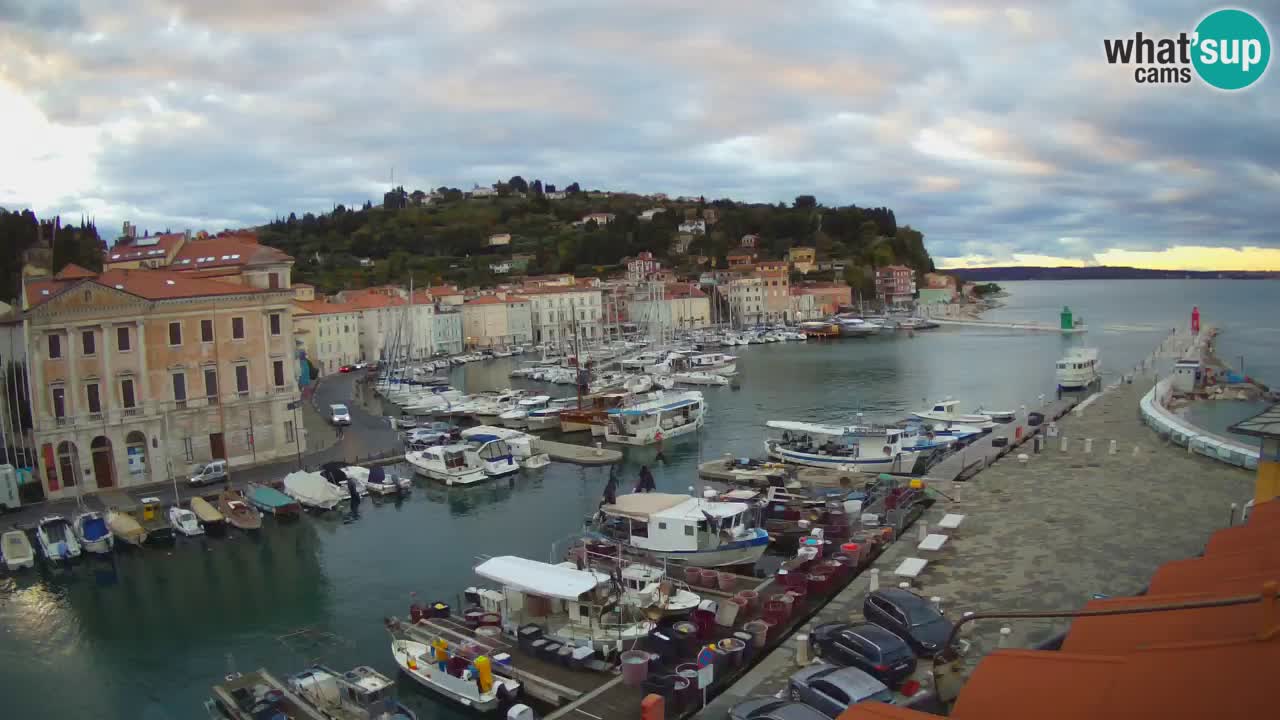 Web kamera uživo iz Pirana “Mandrač” – Nevjerojatan pogled uživo iz Ville Piranesi