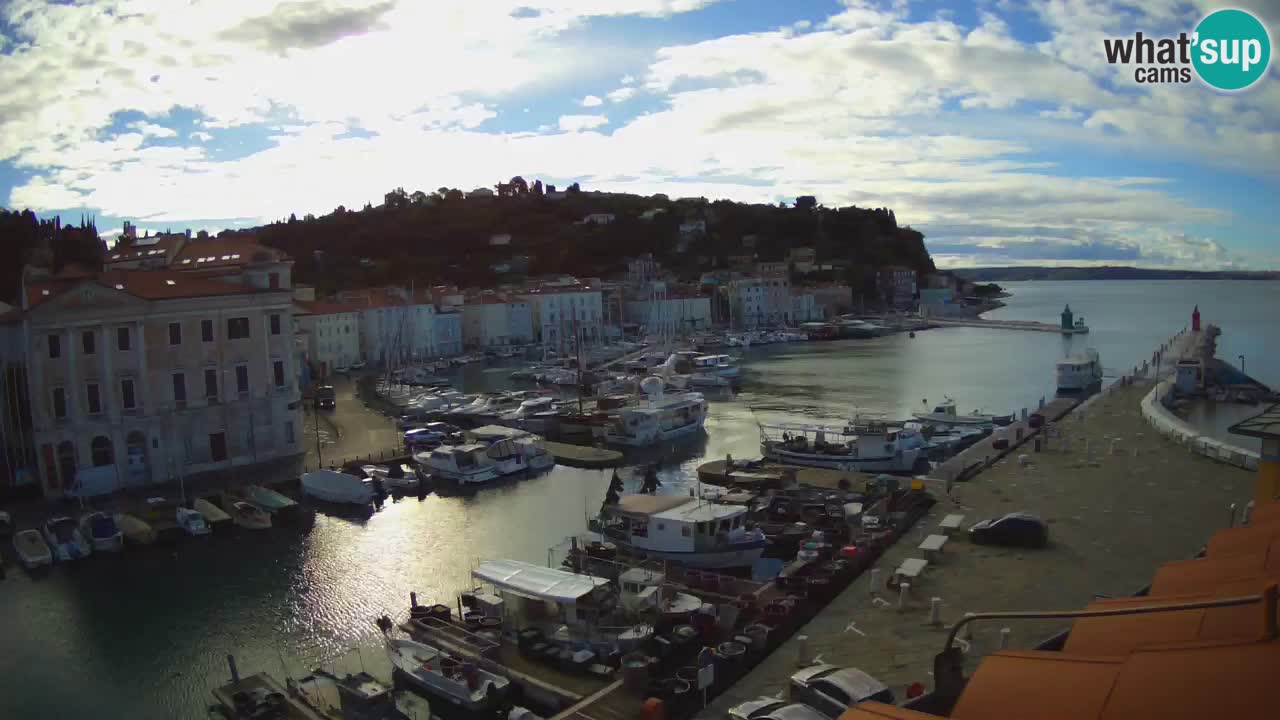Iz Pirana Spletna kamera v živo “Mandrač” – Neverjeten pogled v živo iz Vile Piranesi