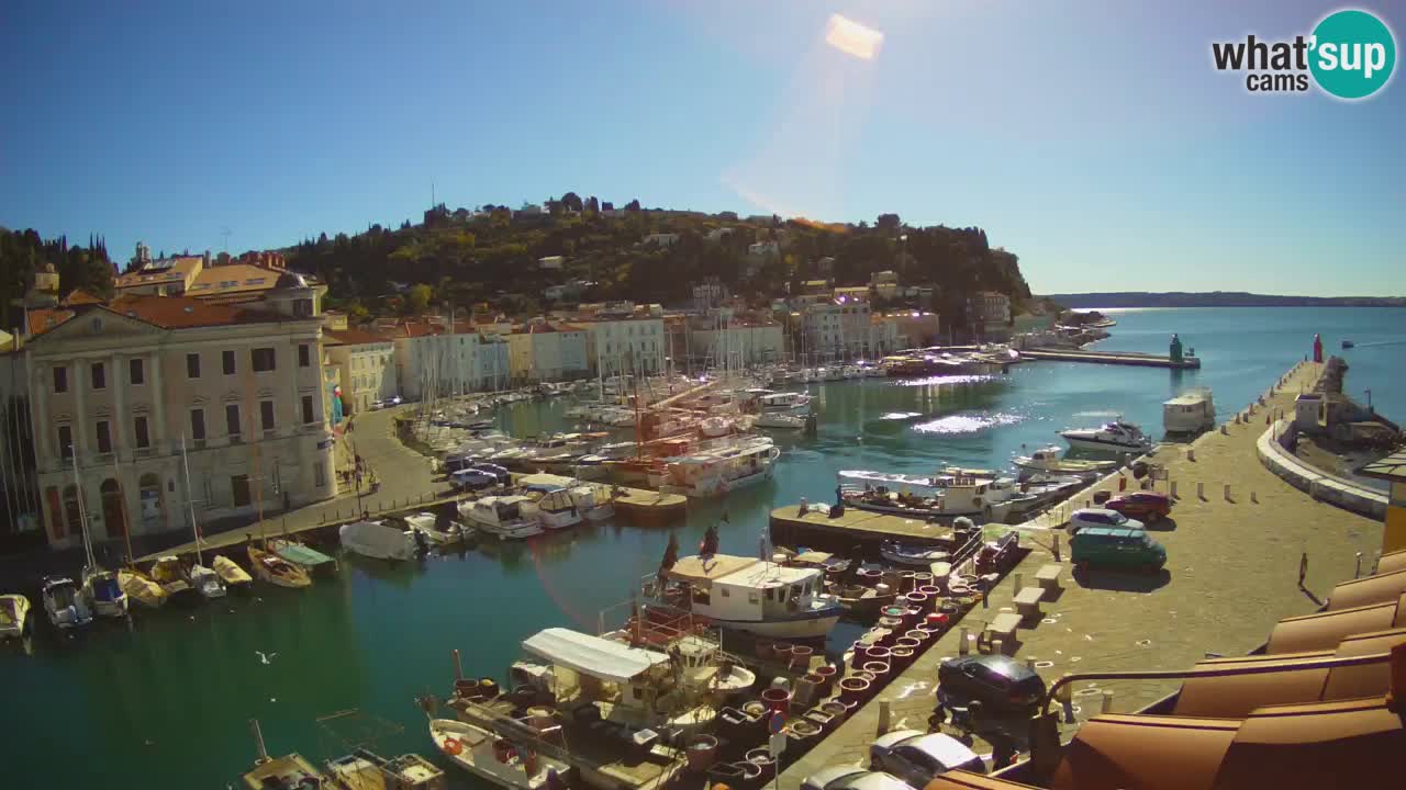 Live-Webcam aus Piran “Mandrač” – Erstaunliche Live-Ansicht von Villa Piranesi