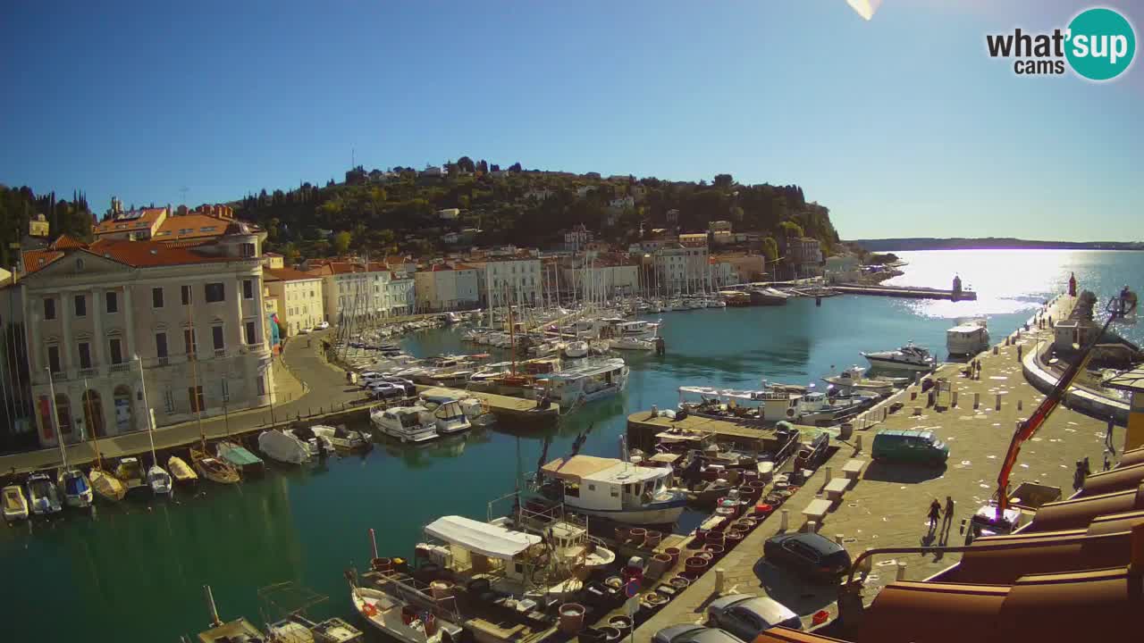 Iz Pirana Spletna kamera v živo “Mandrač” – Neverjeten pogled v živo iz Vile Piranesi