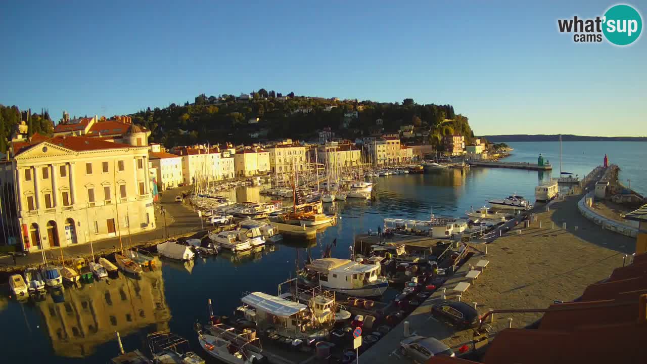 Iz Pirana Spletna kamera v živo “Mandrač” – Neverjeten pogled v živo iz Vile Piranesi