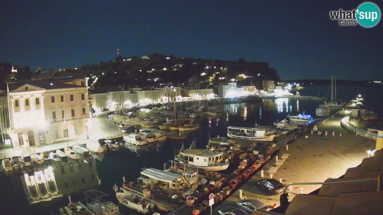 Iz Pirana Spletna kamera v živo “Mandrač” – Neverjeten pogled v živo iz Vile Piranesi