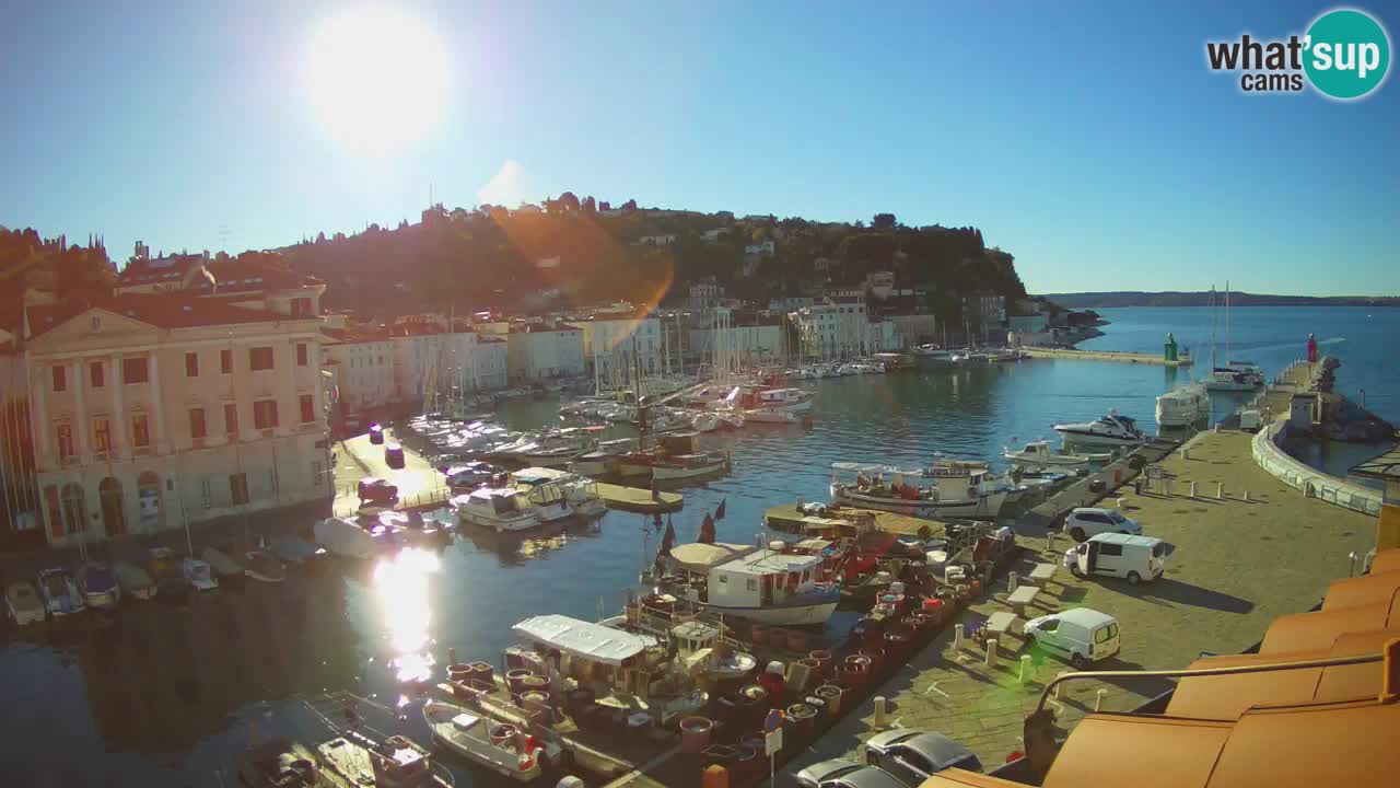 Web kamera uživo iz Pirana “Mandrač” – Nevjerojatan pogled uživo iz Ville Piranesi