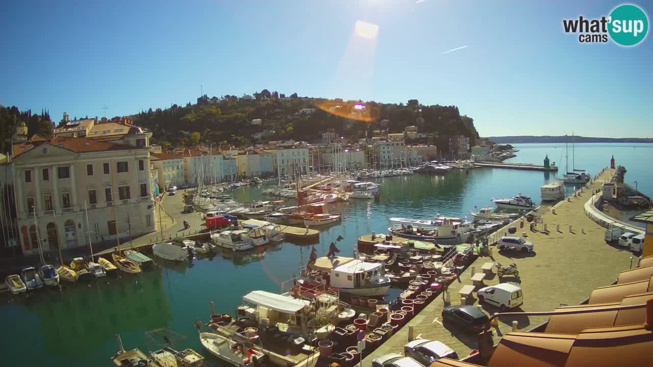 Web kamera uživo iz Pirana “Mandrač” – Nevjerojatan pogled uživo iz Ville Piranesi